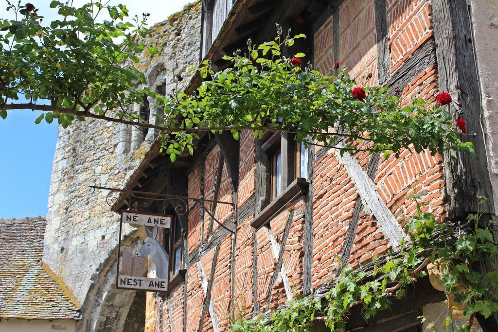 Вілла Le Meuble Monestois Mennetou-sur-Cher Екстер'єр фото