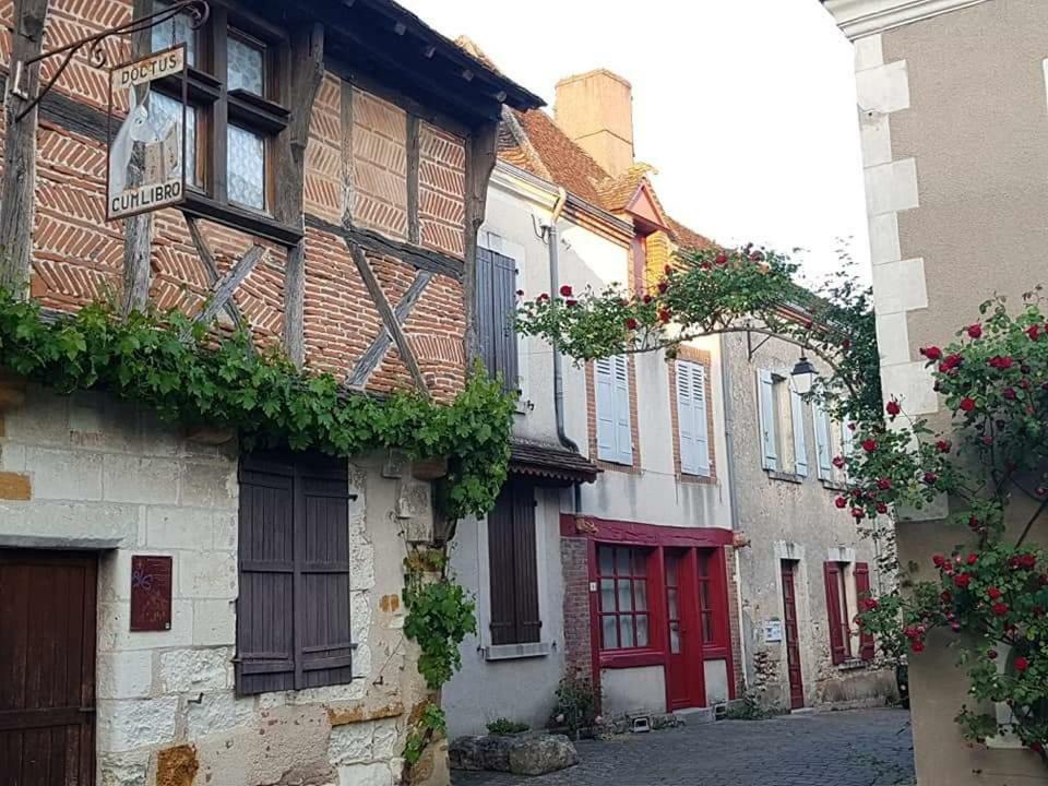 Вілла Le Meuble Monestois Mennetou-sur-Cher Екстер'єр фото